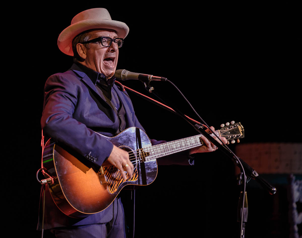Elvis Costello: An Art Never Lost