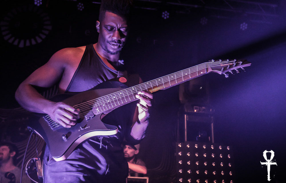 Animals As Leaders: Instrumental Madness of Many