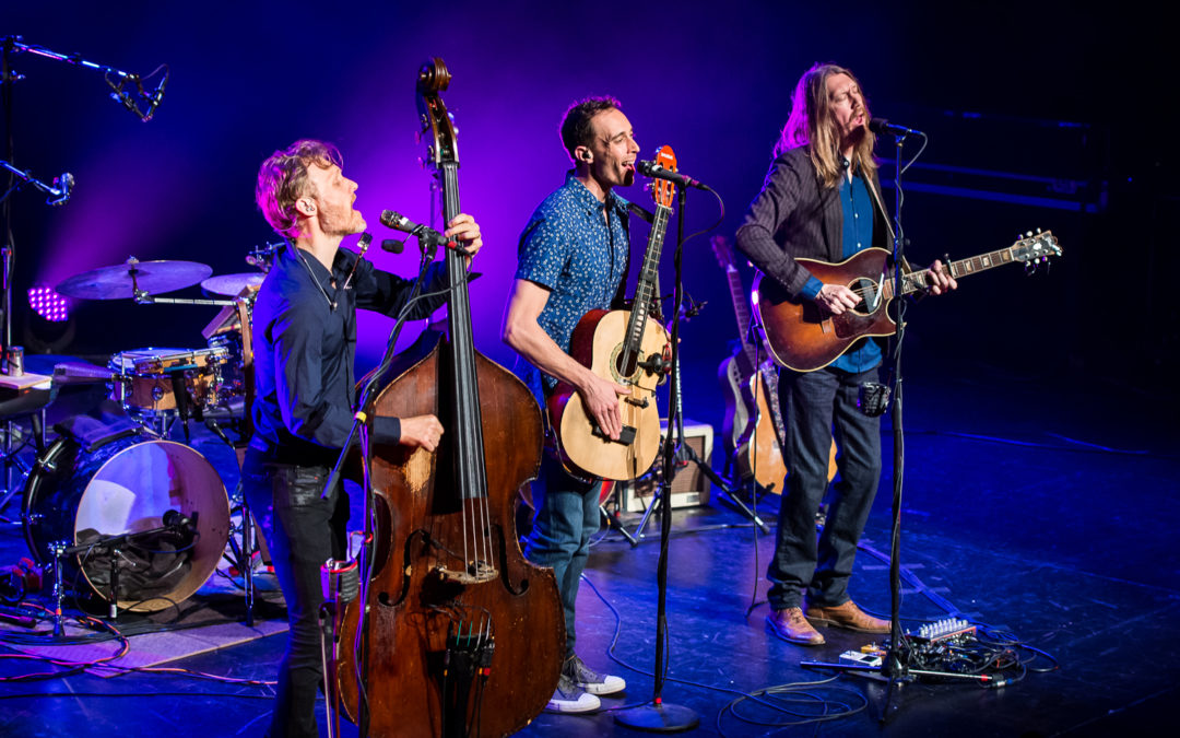 Brothers And Sisters In Folk Spirit