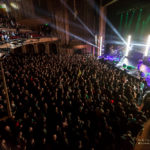 Mastodon. Photo by Neil Lim Sang.