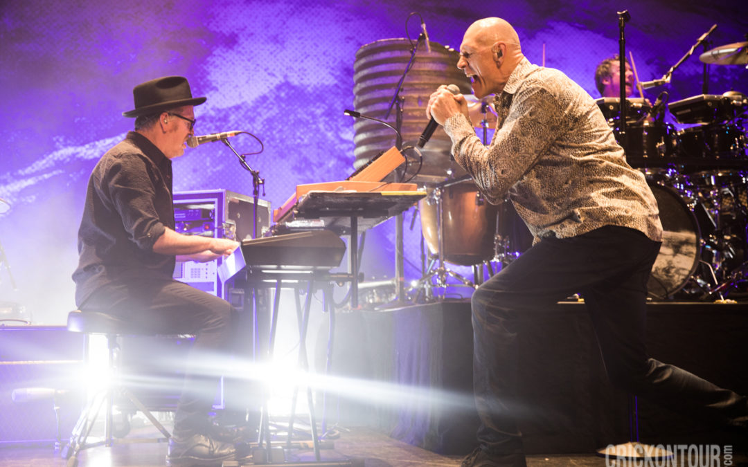 Midnight Oil’s Still Got The Love