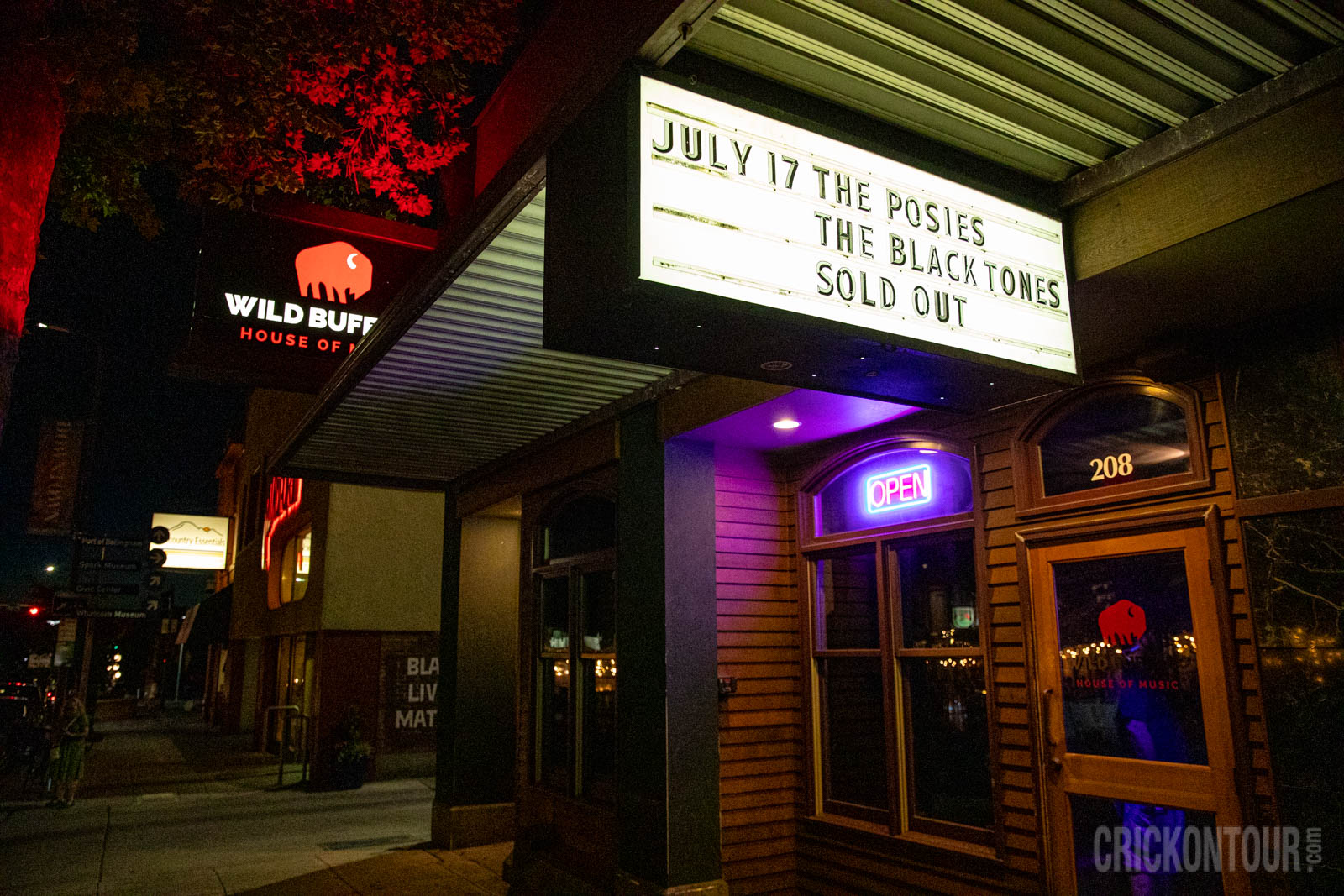 First Show Back Post Pandemic: The Posies with Black Tones